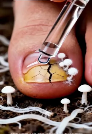 Screenshot 2026-04-01 alle 16.08.20